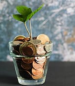 money-tree-with-coins-in-a-glas