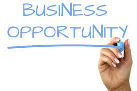  womans-hand-writing-business-opportunity